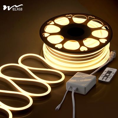 quality 120LED ネオンロープライト 110V 220V 切断可能なリモコン ストライプライト factory